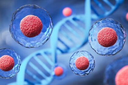 Innovations in Regenerative Medicine