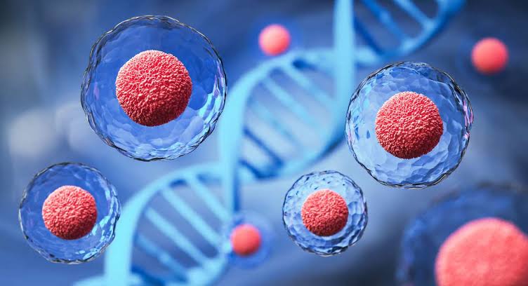 Innovations in Regenerative Medicine