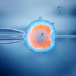 The Intersection of Lifestyle Factors and IVF