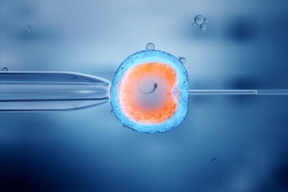 The Intersection of Lifestyle Factors and IVF
