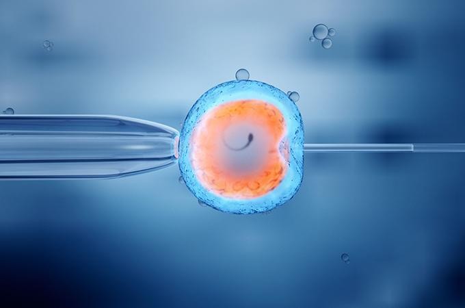 The Intersection of Lifestyle Factors and IVF
