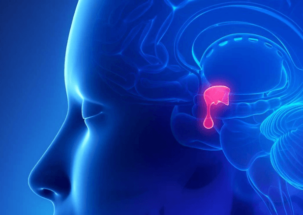 The Role of Brain Surgery in Treating Tumors