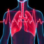 The Role of Stress Testing in Evaluating Heart Function