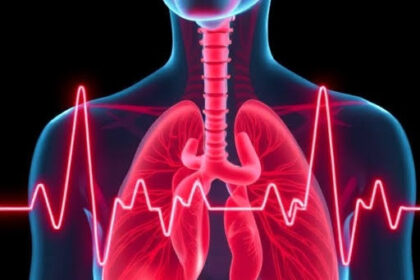 The Role of Stress Testing in Evaluating Heart Function