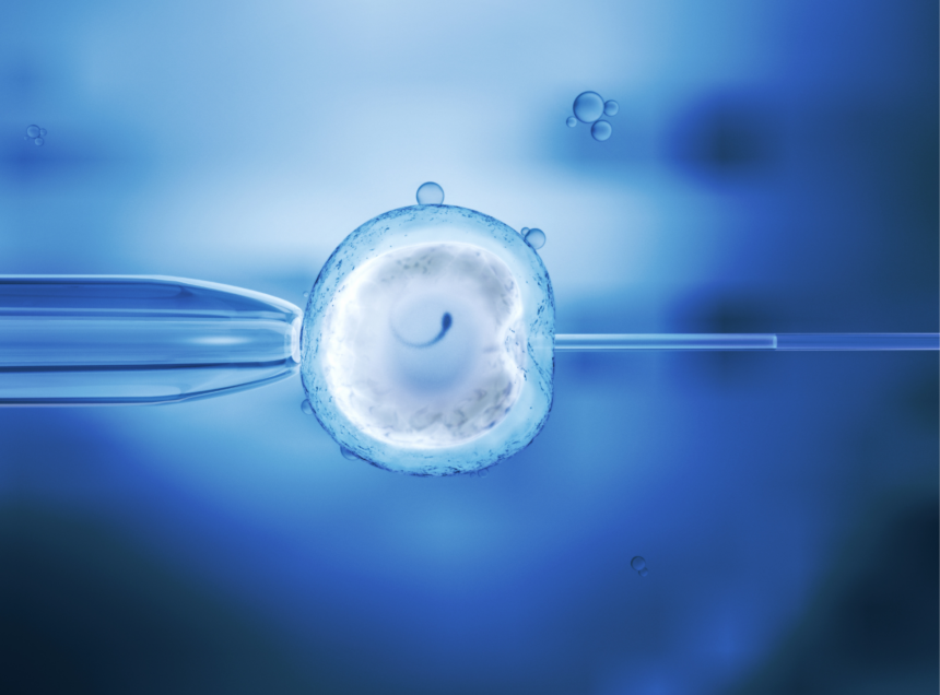 Tips for Preparing for the IVF Process