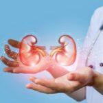 Understanding the Process of Dialysis Access
