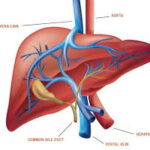 Conditions Treated by Gastritis Specialists
