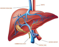 Conditions Treated by Gastritis Specialists