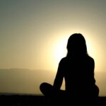 How Does Ovarian Health Affect Menopause Delay?