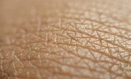 Questions To Ask Your Dermatologist During an Appointment