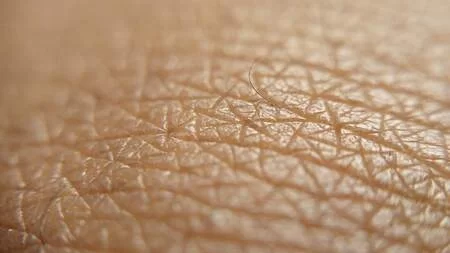 Questions To Ask Your Dermatologist During an Appointment
