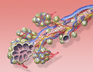 What Is Bronchitis and How Is It Treated?