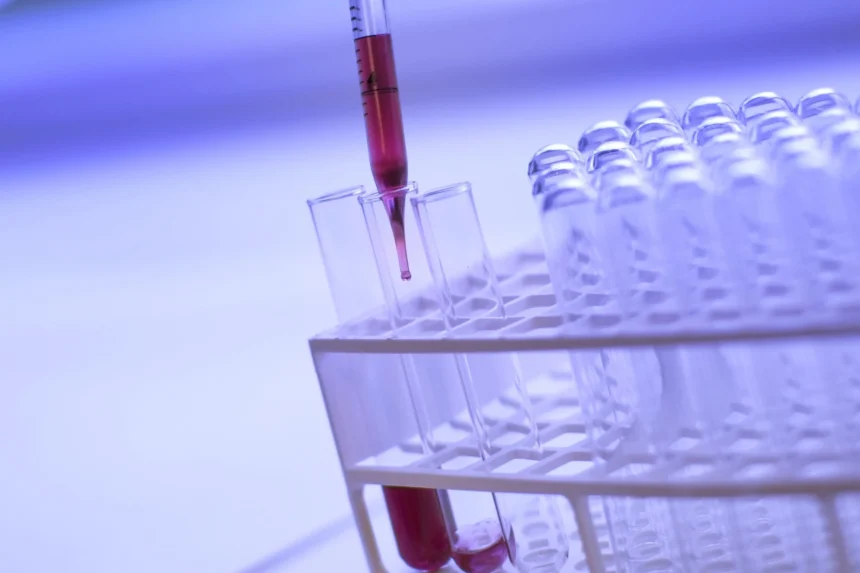 Why Should I Get Tested for Allergies?